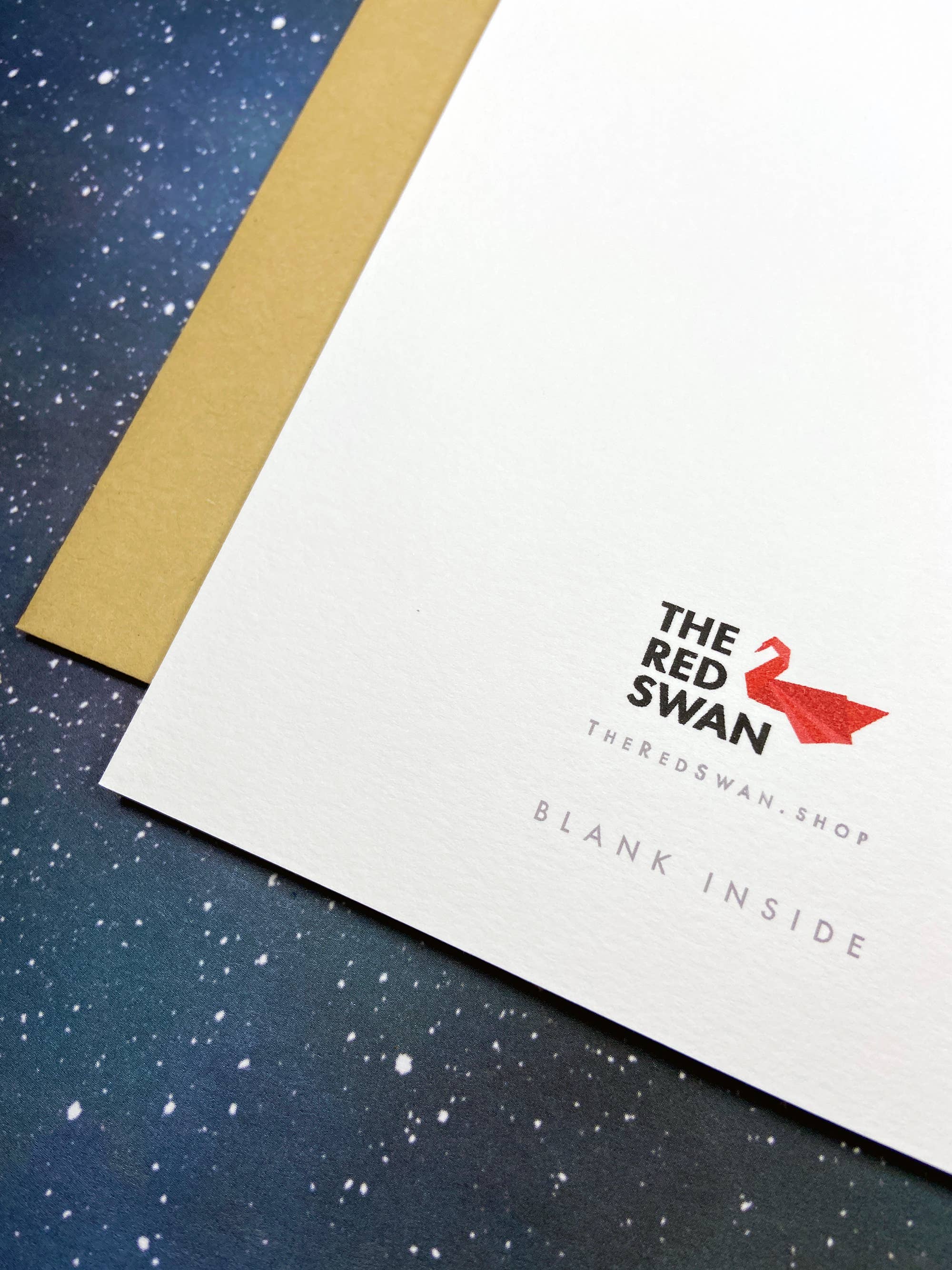 Dick in a Box Holiday Card - SNL Samburg and Timberlake